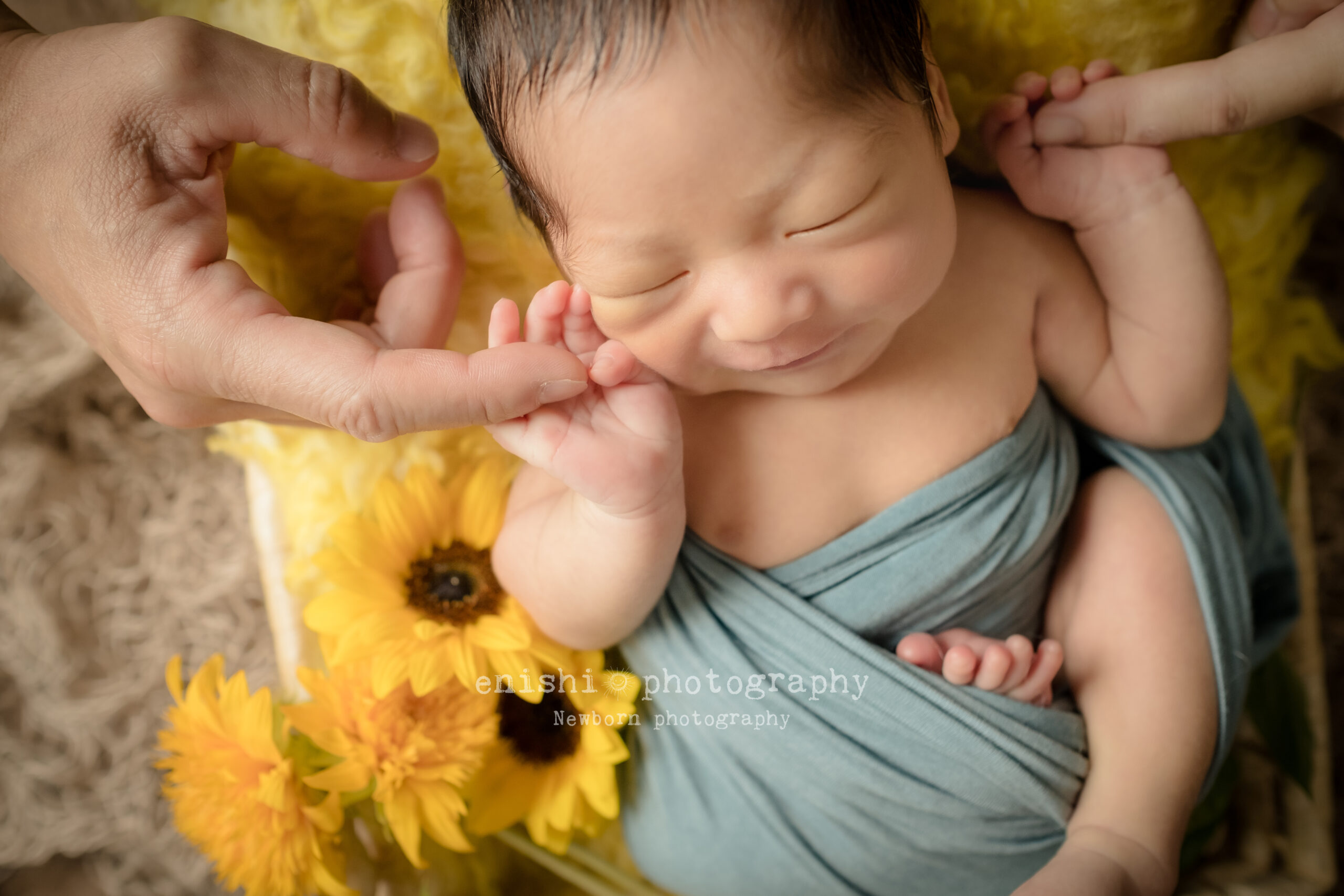 ニューボーンフォト男の子、パパとママとひまわりと。
