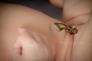 ニューボーンフォト神奈川県相模原市