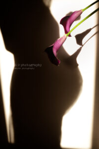 マタニティフォト