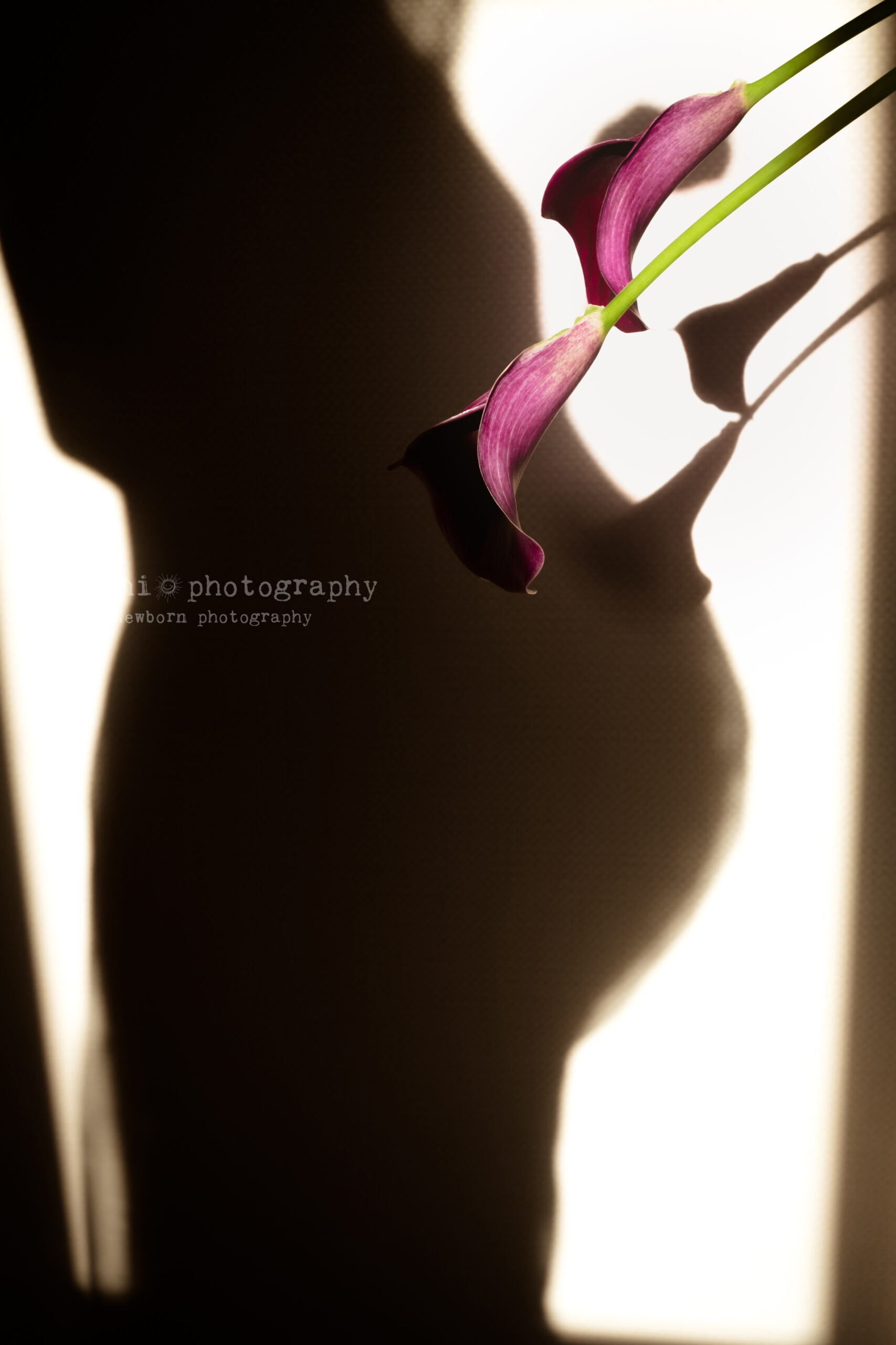 マタニティフォト