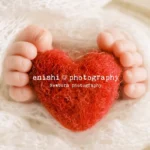 enishi photography しぃ